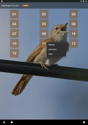 Nightingale Sounds android App screenshot 0