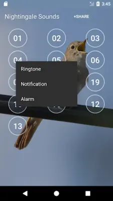 Nightingale Sounds android App screenshot 4