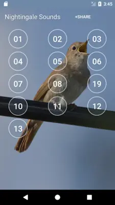 Nightingale Sounds android App screenshot 5